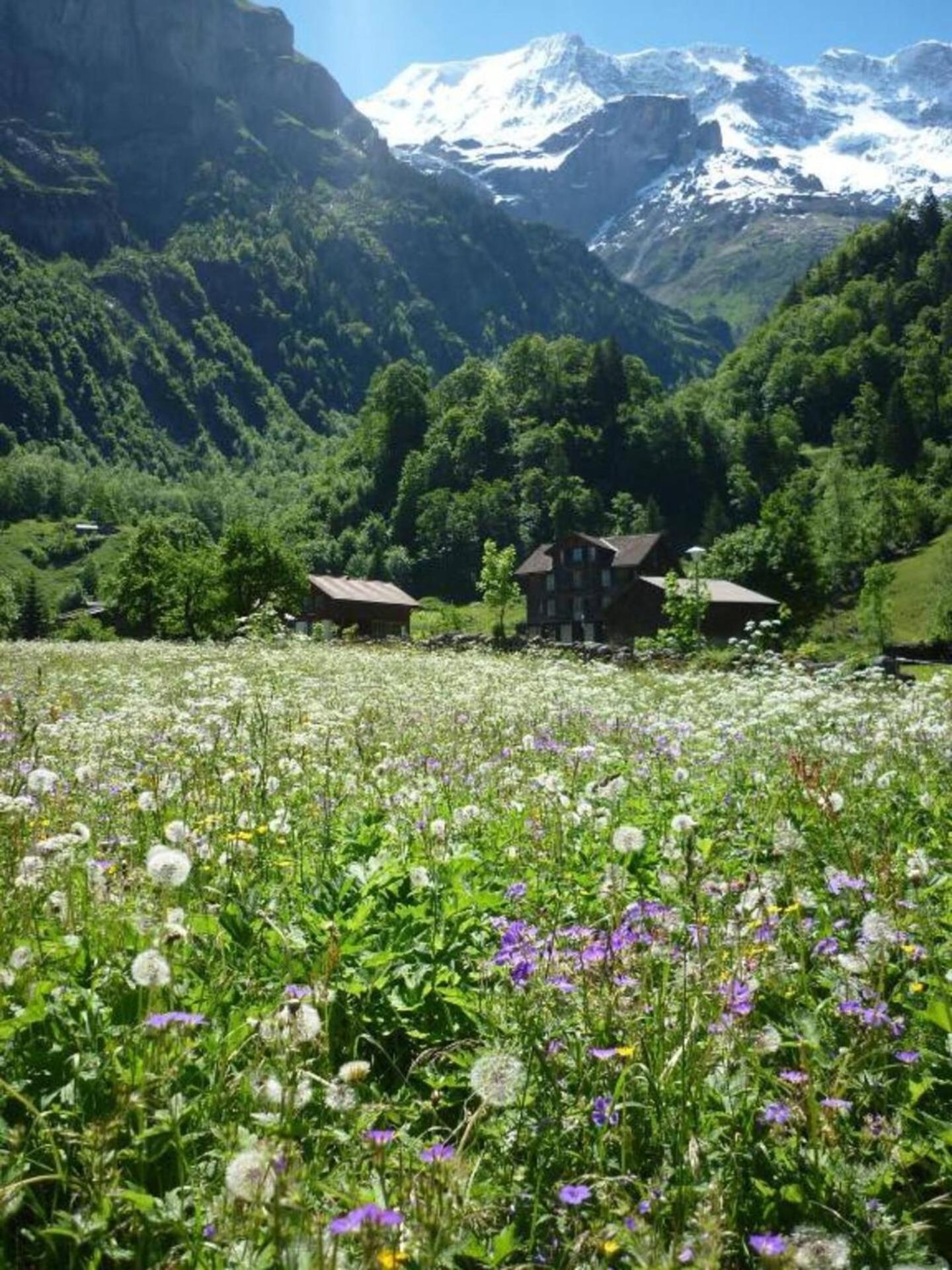 Alpenhof Mountain Lodge Stechelberg Eksteriør billede